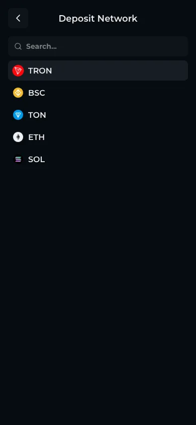 The USDT network picker at 1st.game listing TRON, BSC, TON, ETH and SOL